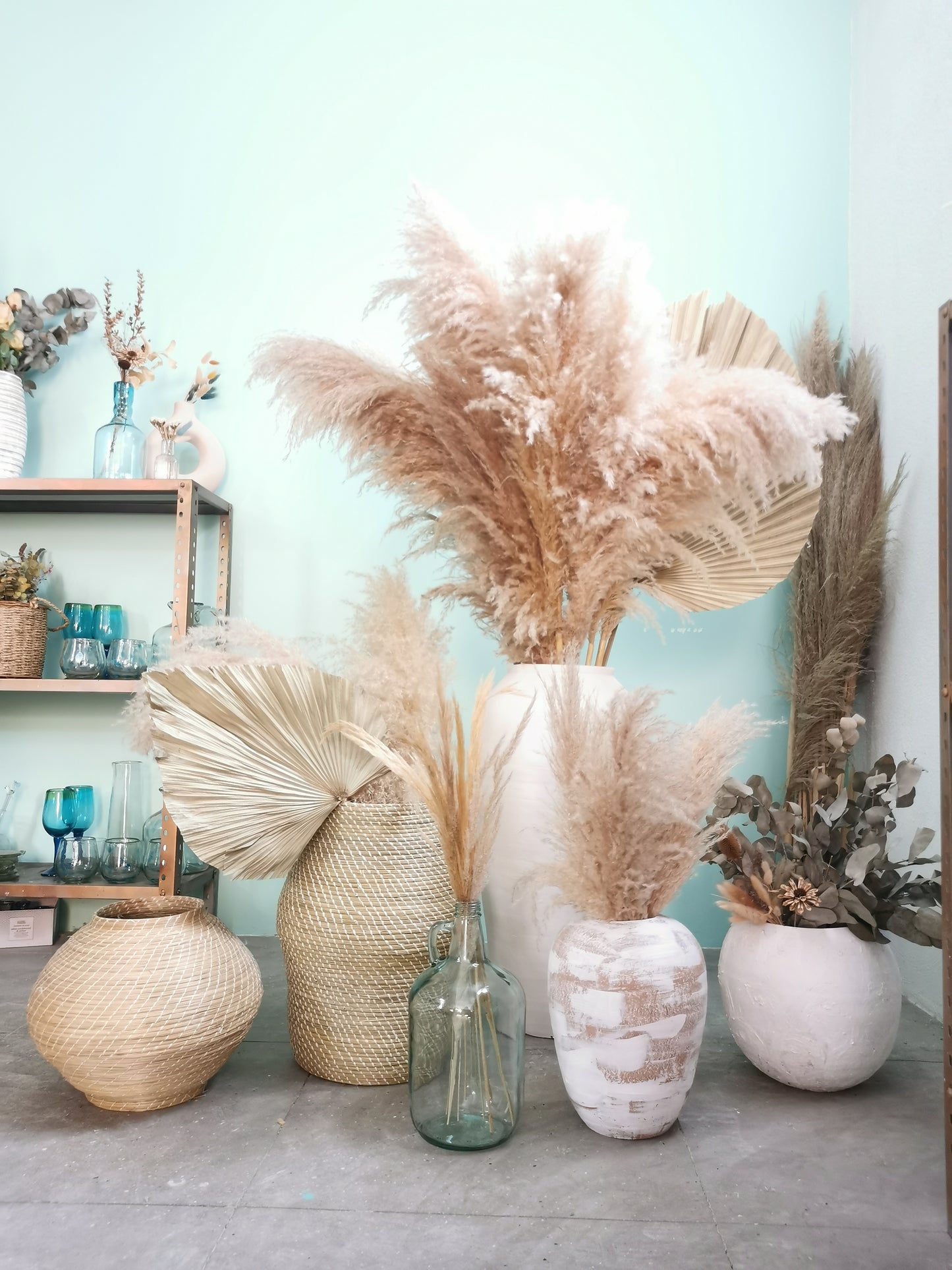 Pampas gray