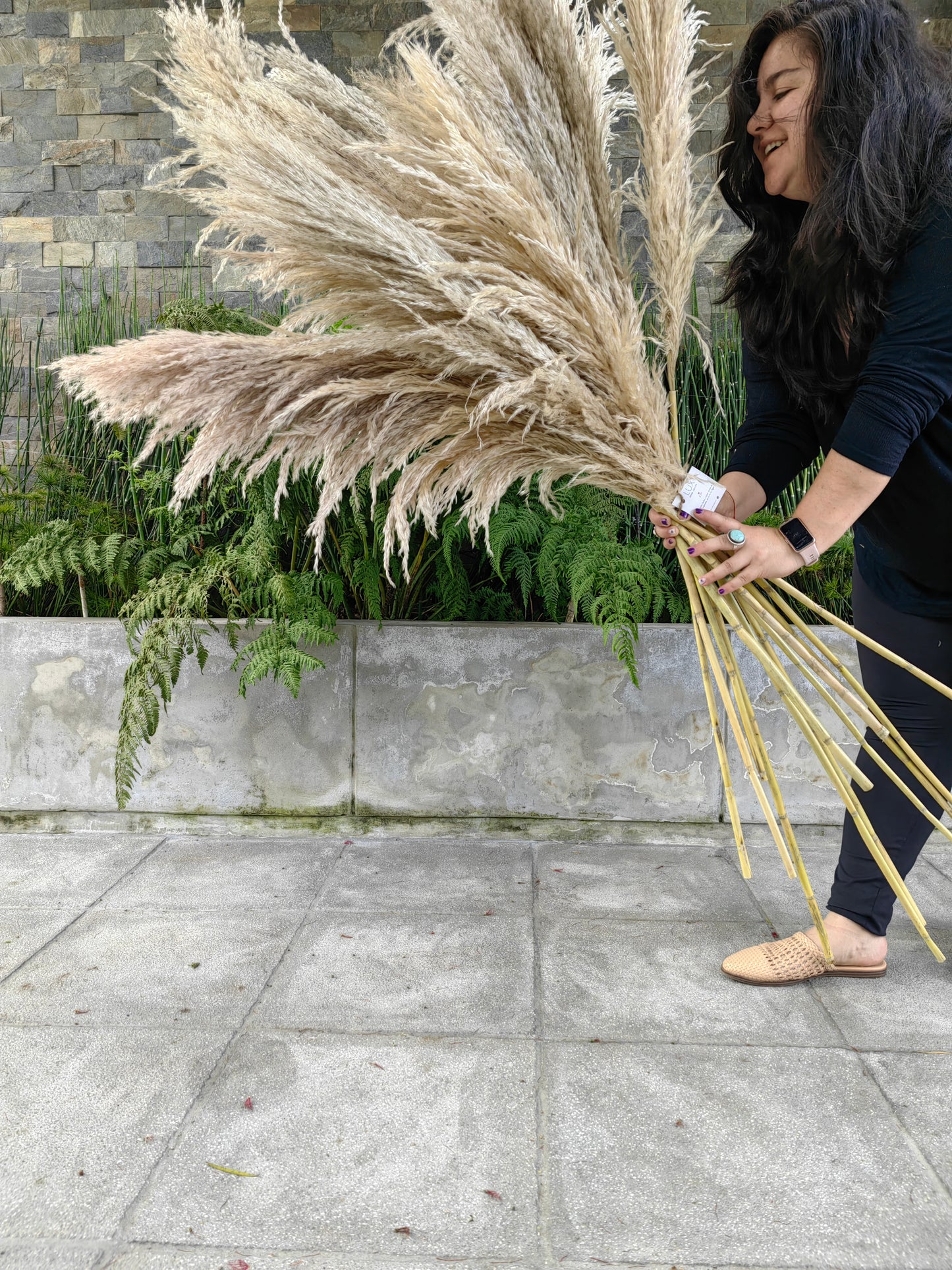 Pampas gray