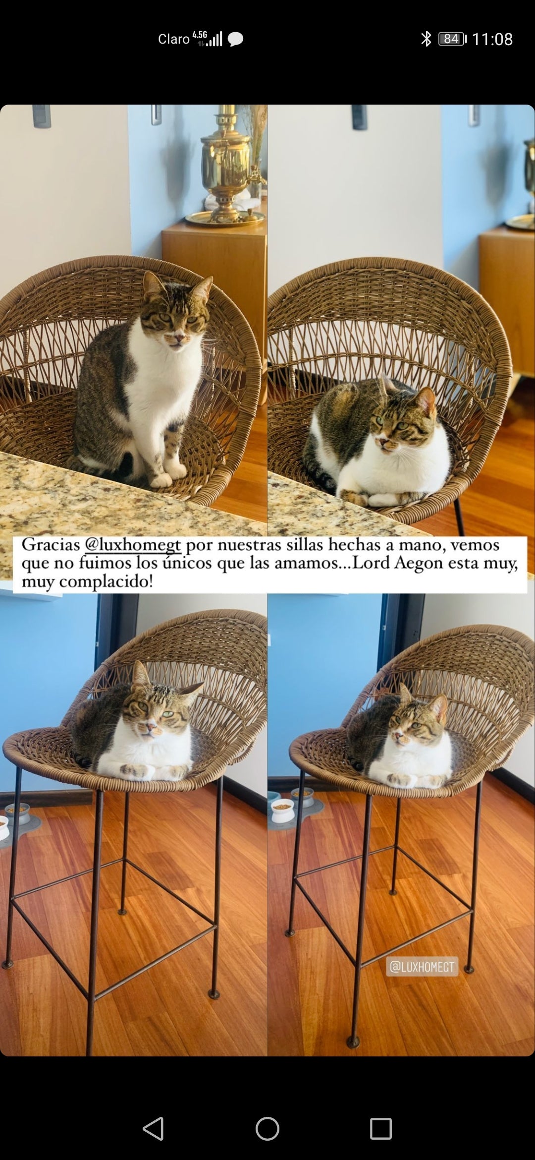 Bancos de Fibras